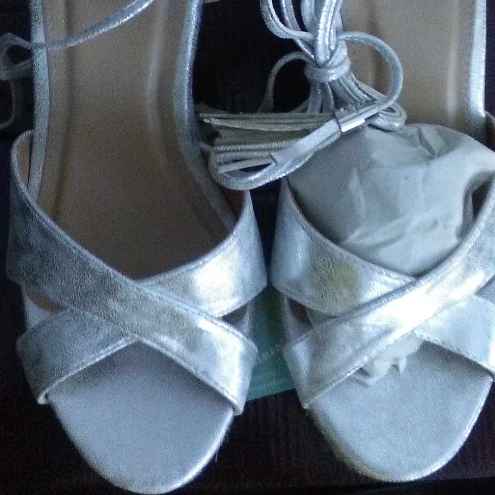 Silver Wedges